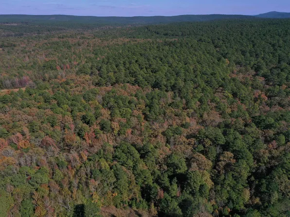 (undisclosed Address), Boles, AR 72926