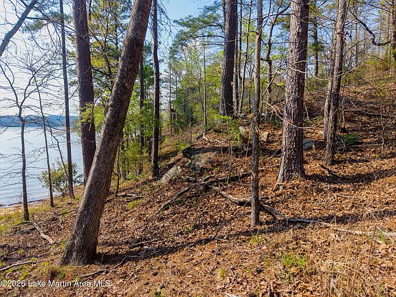 5th image of Woodland Rd