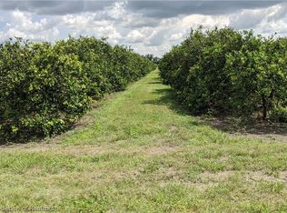Rhynn Rd, Wauchula, FL 33873
