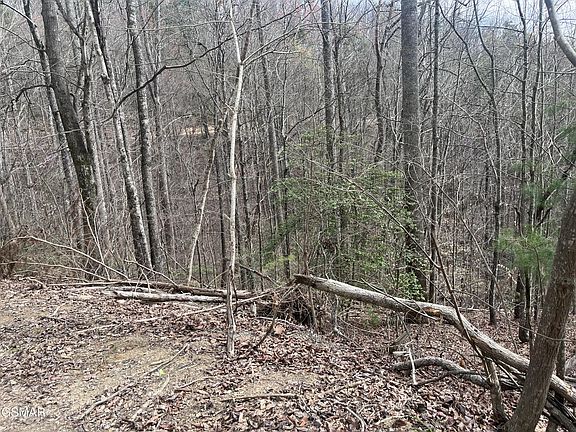 3rd image of 5554-71 Yellowwood Dr