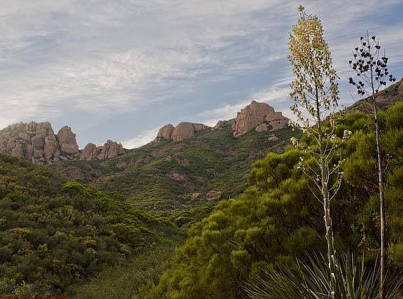 Boney Mountain view