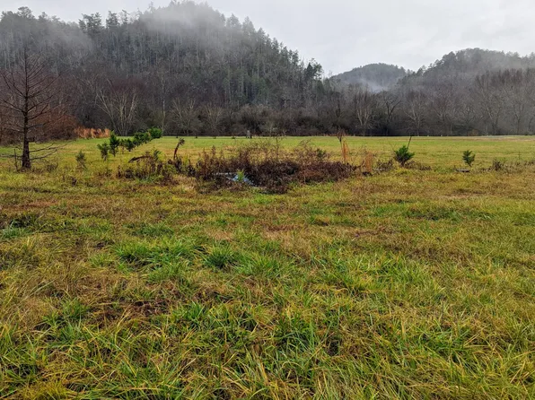 49 Morning Dunn Dr #49, Reliance, TN 37369
