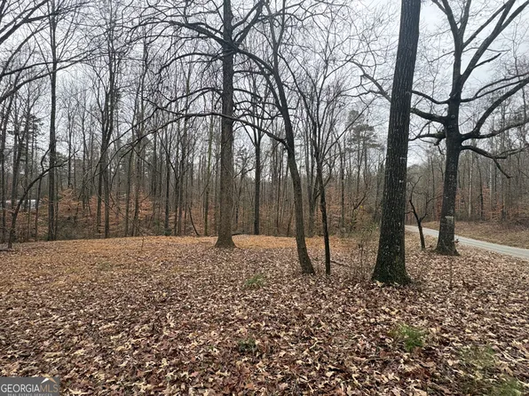 910 Lewis Dr, Lavonia, GA 30553