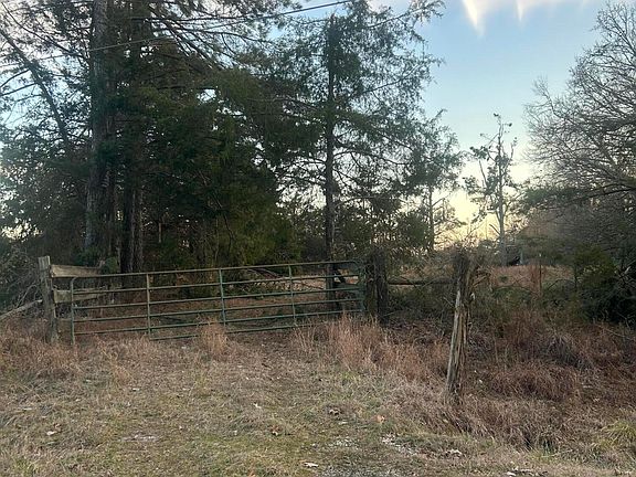 2nd image of Blue Mountain Rd