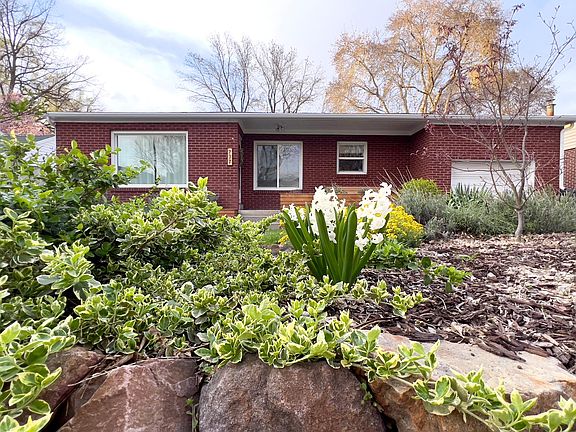 Front yard