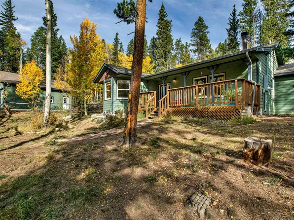 37 Briscoe Court, Alma, CO 80420
