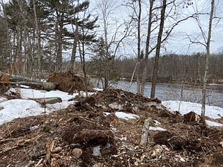 1st image of 0 Scout Trail