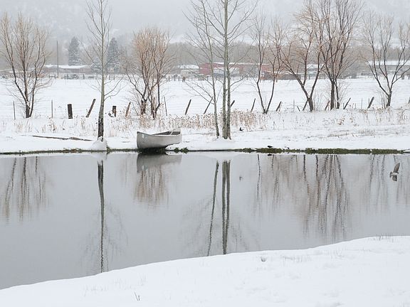 Pond in Winter