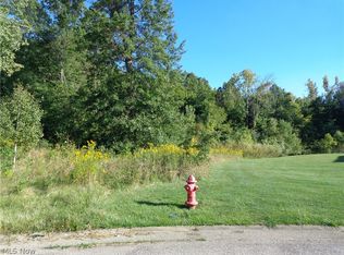 Shannon Dr, Rootstown, OH 44272
