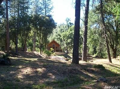 From river area, looking up at log home