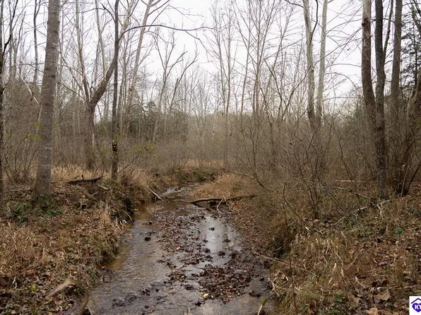 PARCEL Fuller Harding Rd #M, Campbellsville, KY 42718