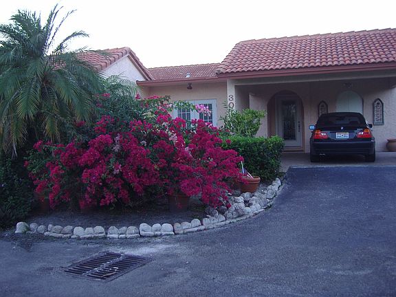 before pavers