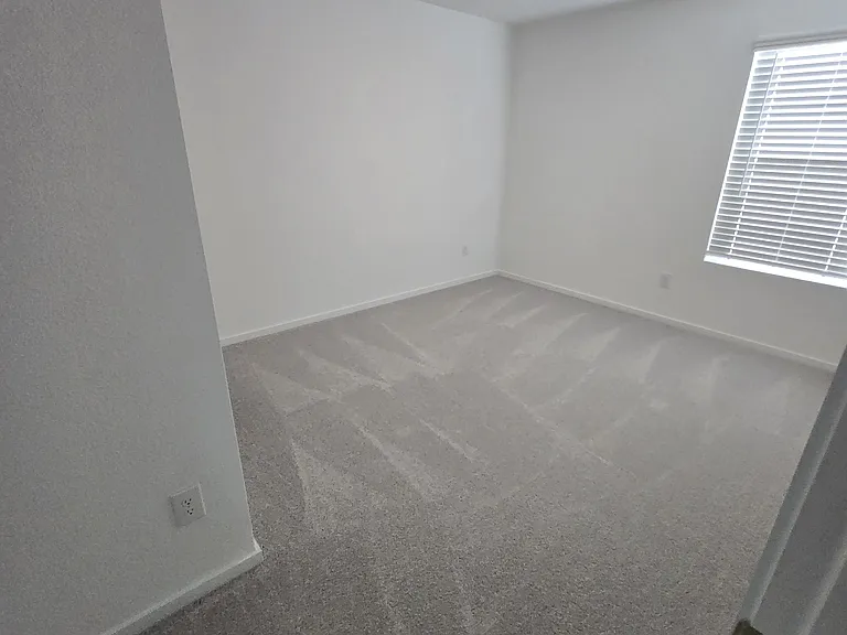 3164 Burmese St — Photo 11