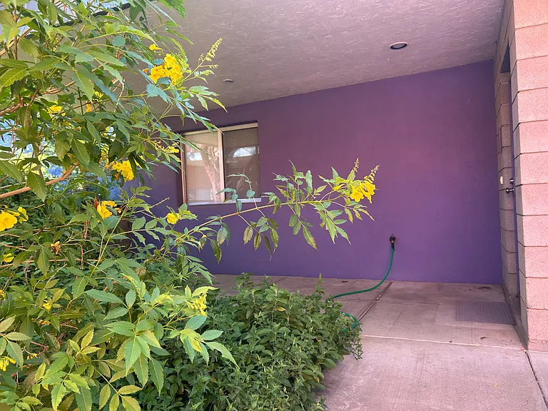 3203 E Terra Alta Blvd #B — Photo 24