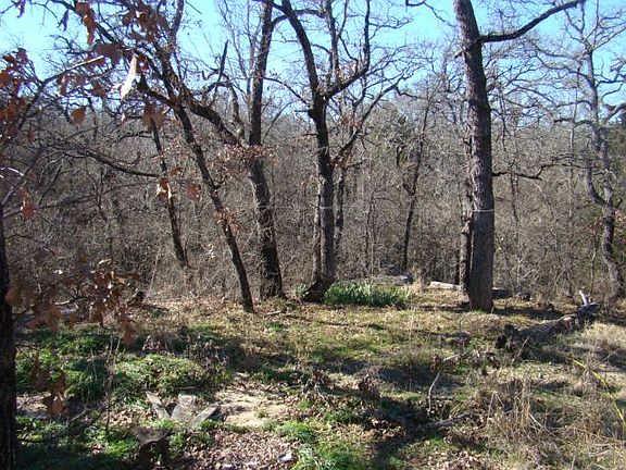 4th image of 245 County Road 3471