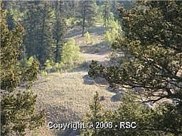 3rd image of 1615 Arapahoe Creek Trl