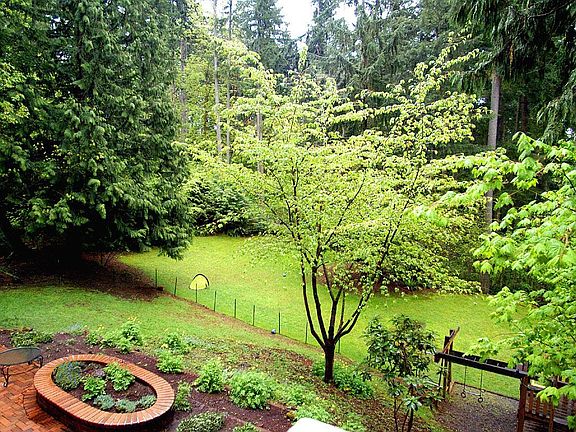 Rear Grounds