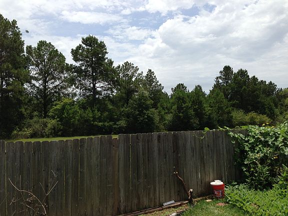 back yard park view