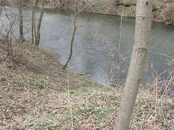Upper Iowa River in yard