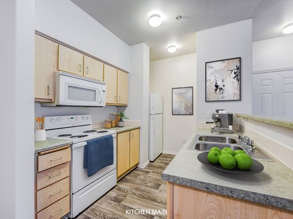 923 W University Ave #6-337