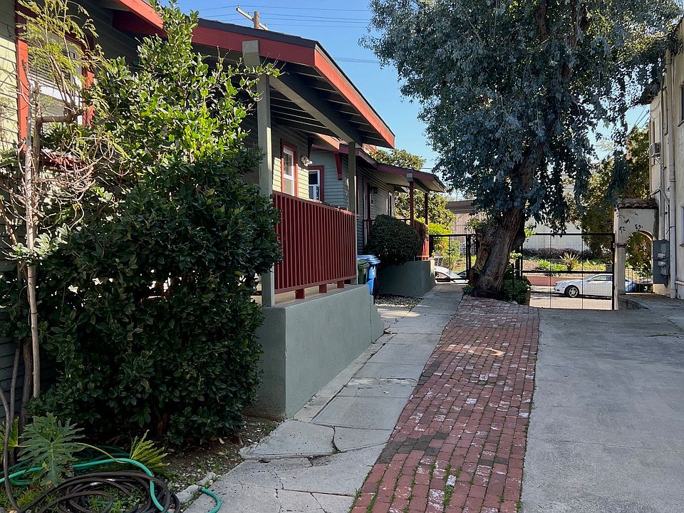 Driveway leading to the house.