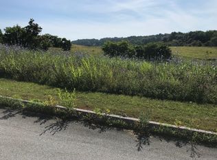 86 Briarpatch Ct, Fall Branch, TN 37656