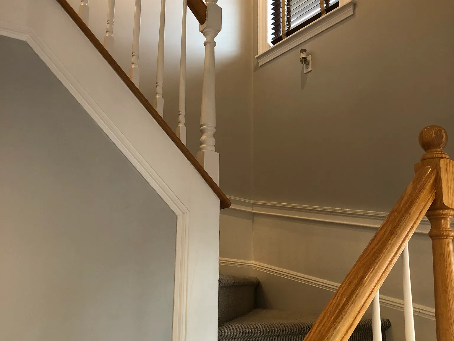1 bed, 900 sqft, $3,000 — Photo 2