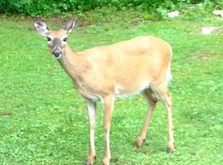 288 Prichards Rd, Hunlock Creek, PA 18621