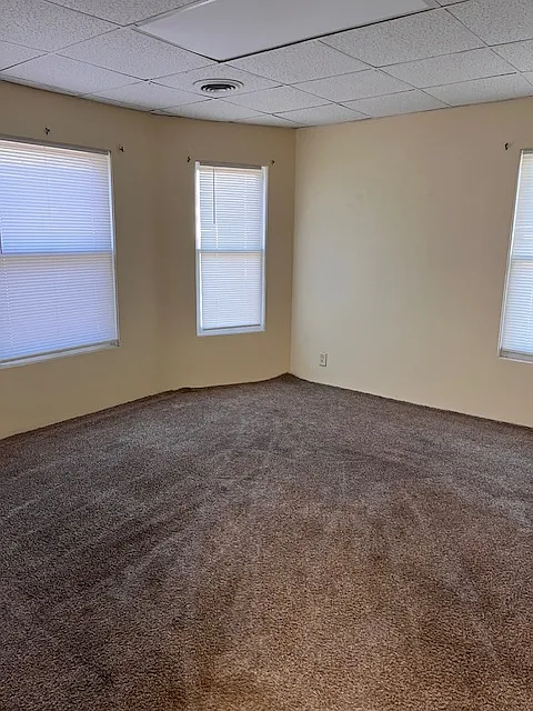 303 Locust St - 1/2 — Photo 4