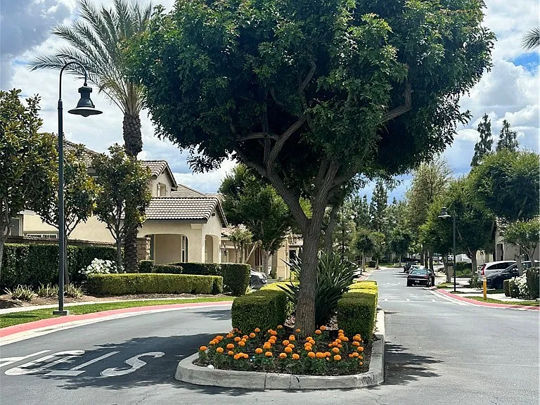 1646 Palermo Dr — Photo 9