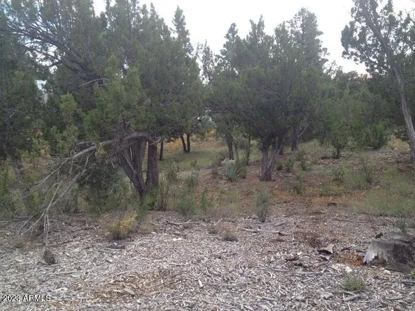 1536 ROCKY TOP Drive #89, Heber, AZ 85928