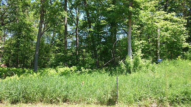 2nd image of 29615 Hidden Forest Blvd