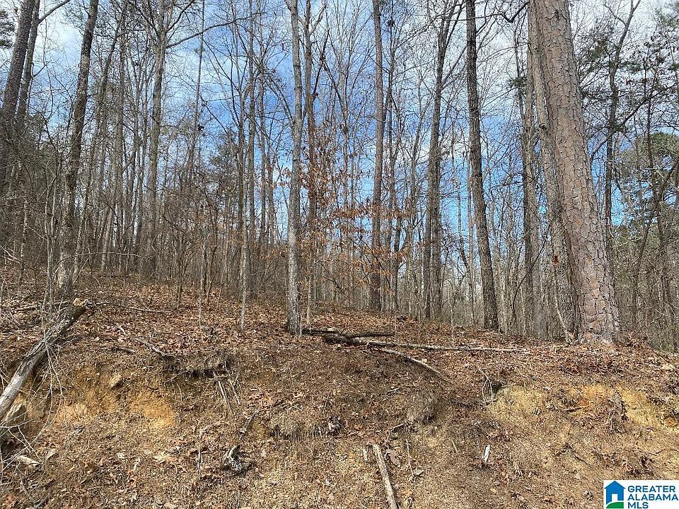 2nd image of Raccoon Branch Rd #12