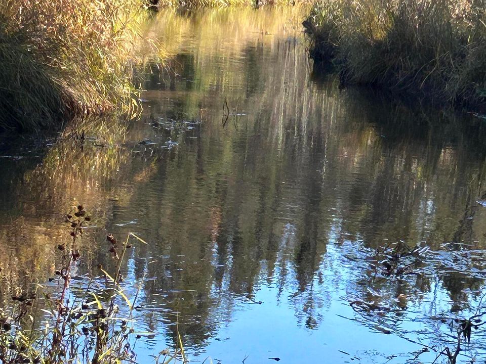 Saint Ignace Rd, Hessel, MI 49745 Zillow