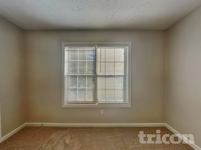 4020 Brittan Glade Trl — Photo 15