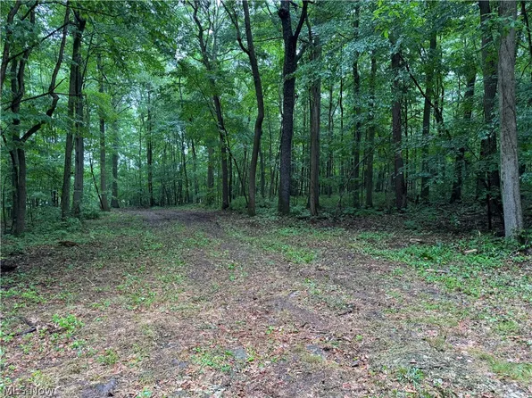 (undisclosed Address), Diamond, OH 44412