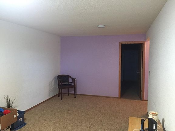 Basement Living Room