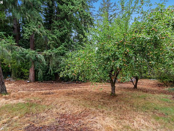3rd image of 0 SE Willamette Ave