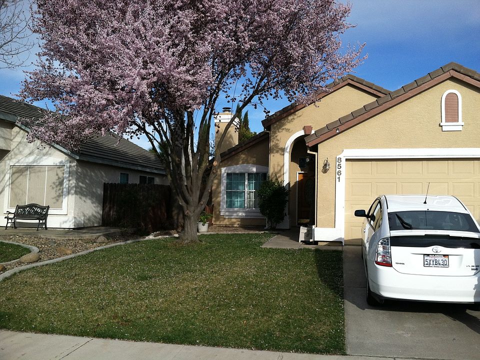 1st image of 8561 Black Cherry Ct