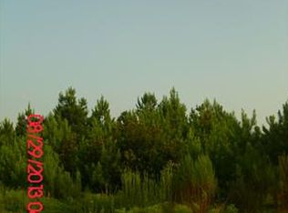 312 Madison Oaks Dr, Rincon, GA 31326