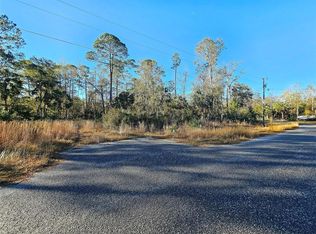 Coastal Oak Ln NW, Steinhatchee, FL 32359