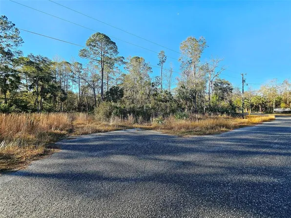 Coastal Oak Ln NW, Steinhatchee, FL 32359