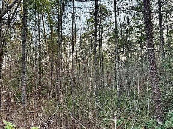 5th image of Quiet Creek Ln