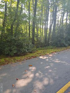47 Willow Ct, Sapphire, NC, 28774