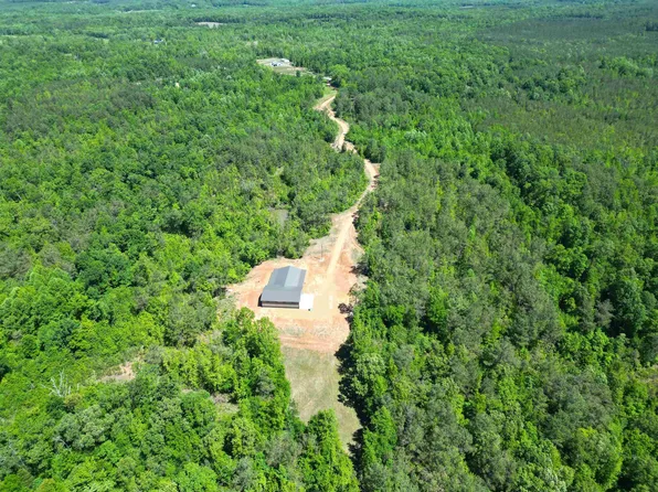 1137 Arl Bailey Rd, Finger, TN 38334