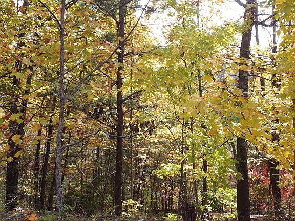 2nd image of 34 Harvest Moon Rd Lot 34E