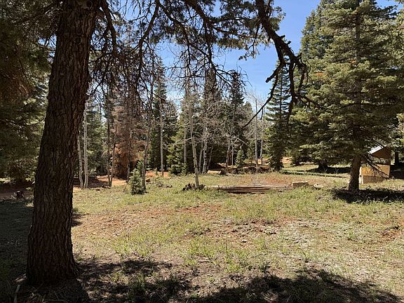3rd image of 79 W Berry Loop