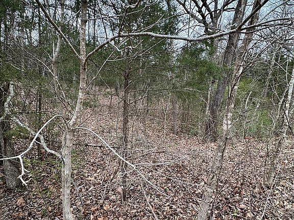 3rd image of 2023 Lakeshore Dr