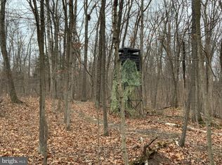 33 Nestle Quarry Rd, Falling Waters, WV 25419