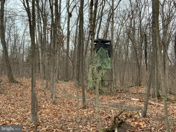 33 Nestle Quarry Rd, Falling Waters, WV 25419